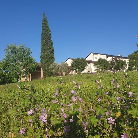 Agriturismo Relais Maddalene101 Villa Vicenza Exteriör bild